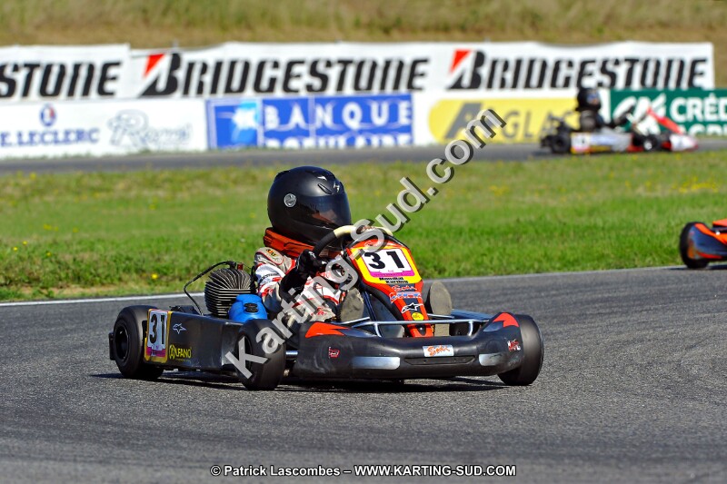 DSC_ (1182).jpg